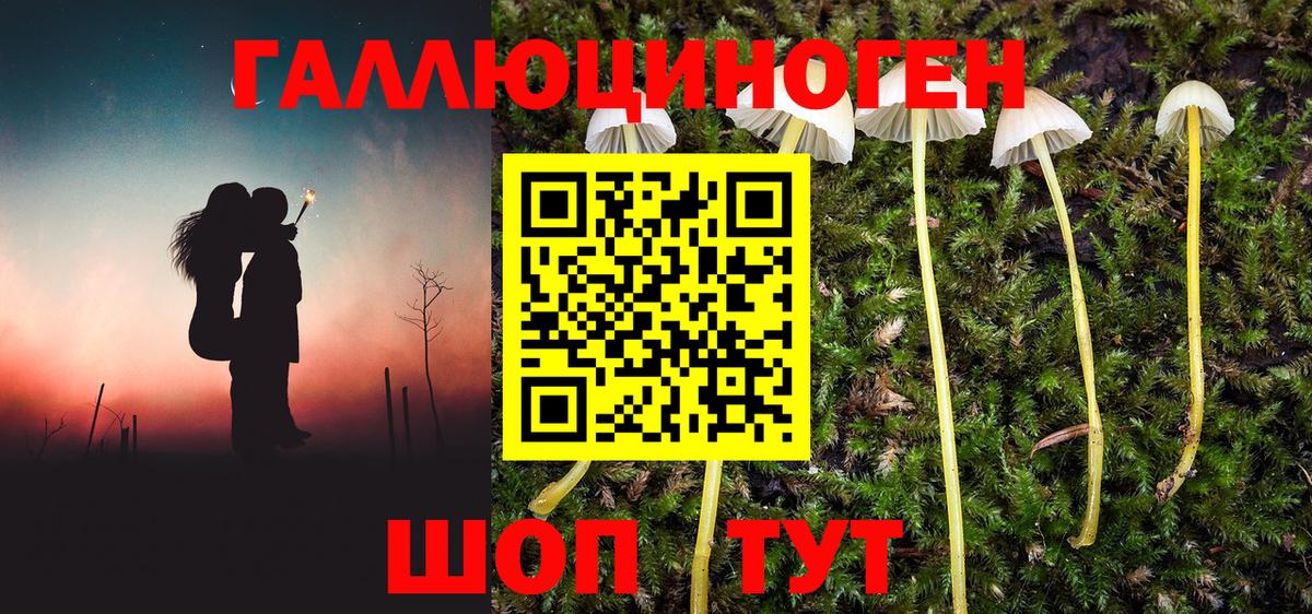 Карпинск  Псилоцибиновые грибы прущие грибы  Вход с VPN  Псилоцибиновые грибы Magic Shrooms 